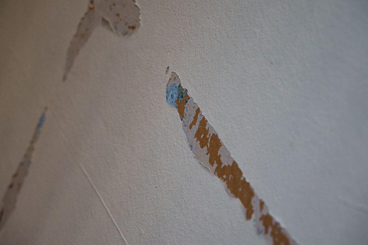 Sewage Cleanup service in Lancaster, CA